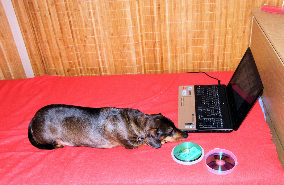 Hi-tech jozevčík, Bruntál leden 2009