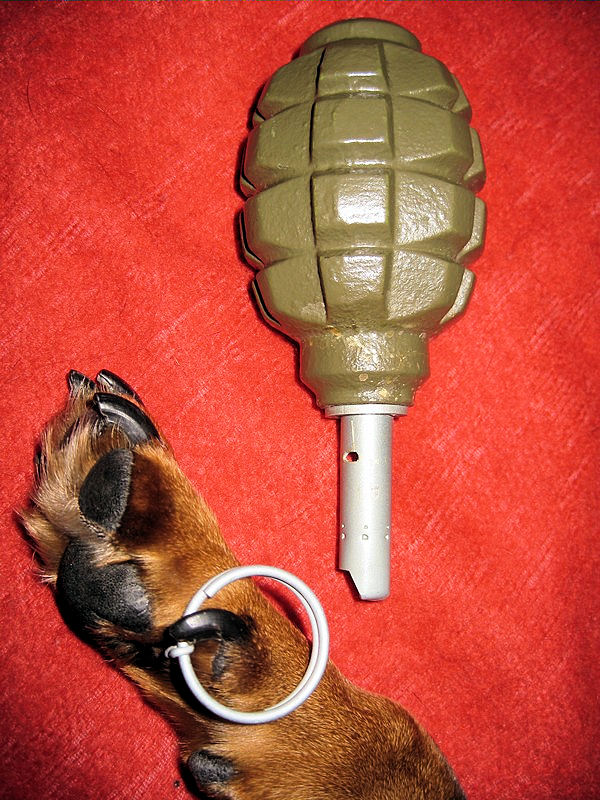 Hopla!, Bruntál březen 2009